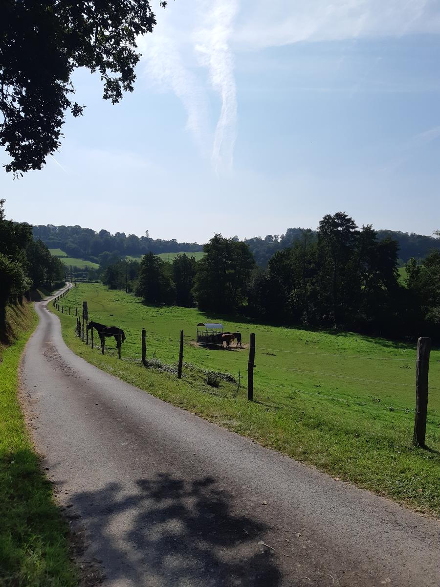 Vallée